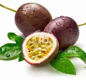 Passion Fruit ( Maracuja /Amatunda)