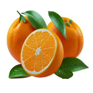Orange Fruits Imported