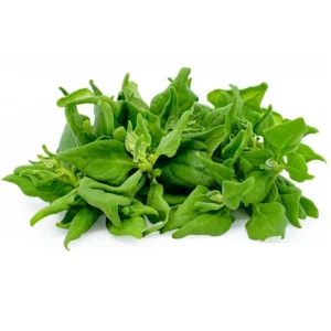 Spinach(Epinard) /Bunch