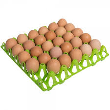 Laying Chicken Eggs (Oeuf de Poule Pondeuse /Amagi y’Amapondezi)