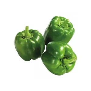 Fresh Green Bell Pepper/ Poivron Vert