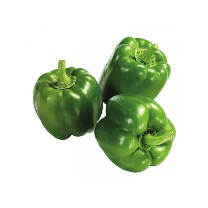 Fresh Green Bell Pepper/ Poivron Vert