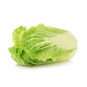 Chinese Cabbage (Chou Chinois piece)
